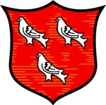 Current Dundalk Football Club Crest & Badge